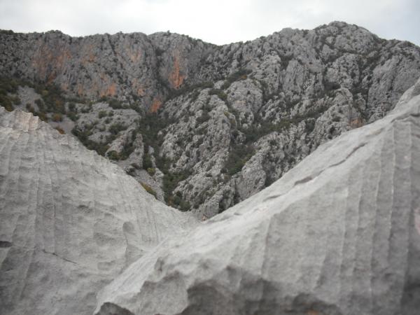 Slika_150.jpg