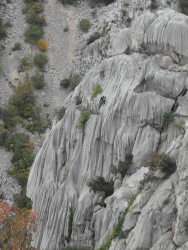 Slika_158.jpg
