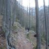 Staničev vrh