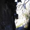 IMG_0070_copy.jpg